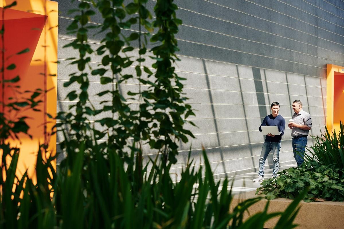 The Rise of Green Accommodations in Tourism